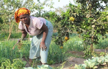 Fruchtbares Land erfolgreich bewirtschaften