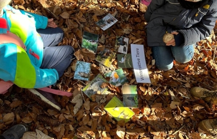 Pädagogisches Waldprojekt für Volkschulkinder in und rund um Weiz